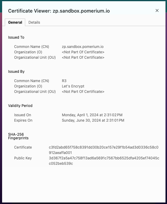 Reviewing the Let&#39;s Encrypt certificate for a custom domain